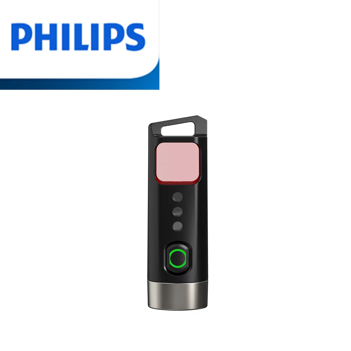 Outdoor Lighting Philips - Philips Sfl 1121P Torcia Edc Lampada