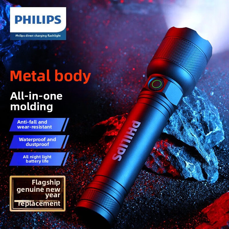 Outdoor Lighting Philips - 2025 NUOVA Philips SFL2188 Torcia a