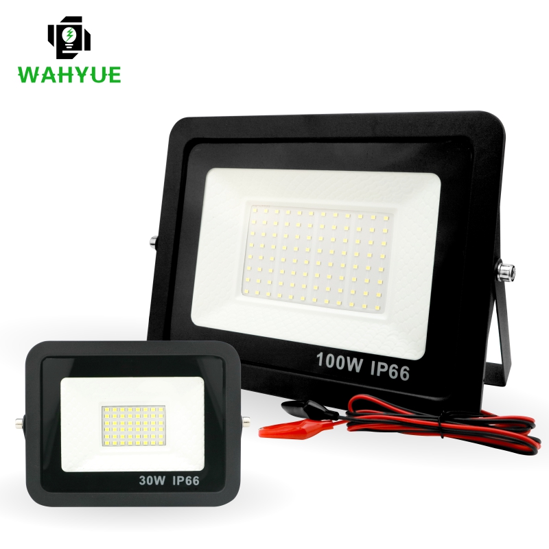 Outdoor Lighting Volt - 20W 30W 50W 100W DC12V Ha