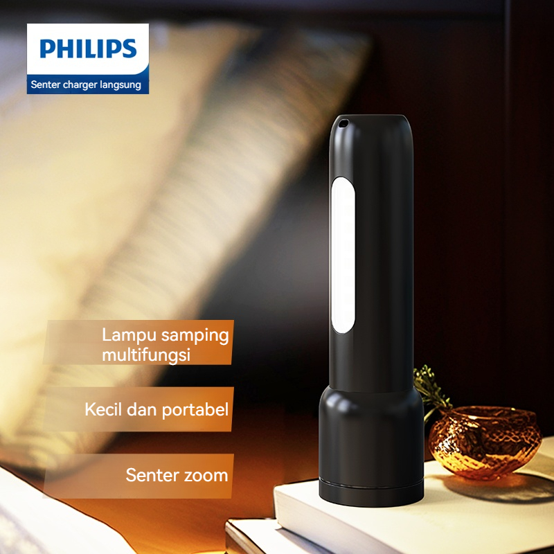 Philips Sfl 1123 Edc Torcia po - Outdoor Lighting Philips recensione e prezzo