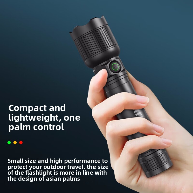2025 NUOVA Philips SFL2188 Tor - Outdoor Lighting Philips recensione e prezzo