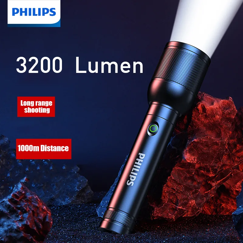 PHILIPS SFL8168 Torcia LED por - Outdoor Lighting Philips recensione e prezzo