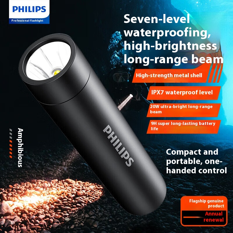 Philips Nuova torcia Lampada d - Outdoor Lighting Philips recensione e prezzo
