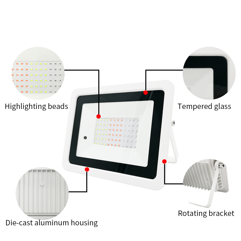 Led RGB Luce di Inondazione 20 - Outdoor Lighting Zigbee recensione e prezzo
